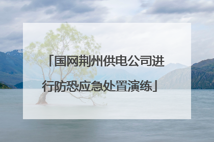 国网荆州供电公司进行防恐应急处置演练