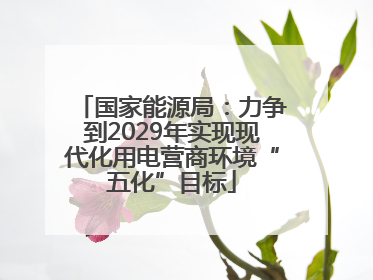 国家能源局：力争到2029年实现现代化用电营商环境“五化”目标