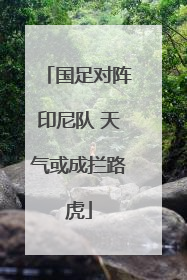 国足对阵印尼队 天气或成拦路虎