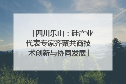 四川乐山：硅产业代表专家齐聚共商技术创新与协同发展