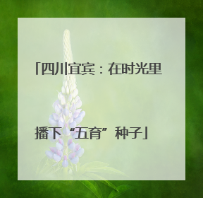四川宜宾：在时光里播下“五育”种子