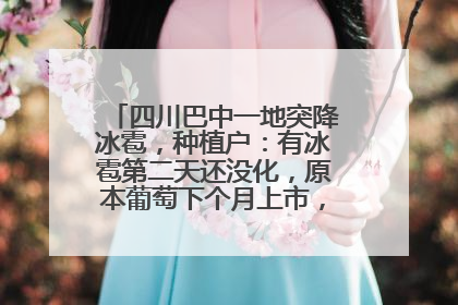 四川巴中一地突降冰雹，种植户：有冰雹第二天还没化，原本葡萄下个月上市，现在全被打落