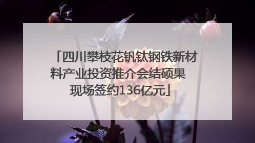 四川攀枝花钒钛钢铁新材料产业投资推介会结硕果 现场签约136亿元