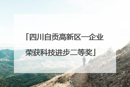 四川自贡高新区一企业荣获科技进步二等奖