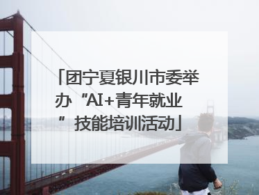 团宁夏银川市委举办“AI+青年就业”技能培训活动