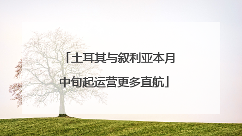 土耳其与叙利亚本月中旬起运营更多直航