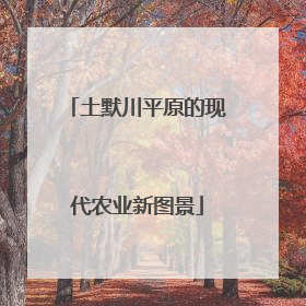 土默川平原的现代农业新图景