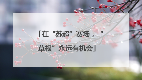 在“苏超”赛场，“草根”永远有机会