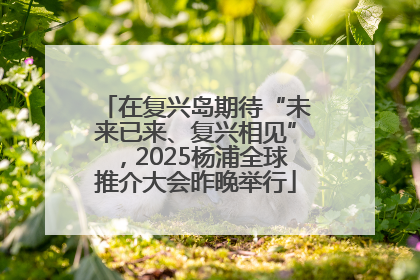 在复兴岛期待“未来已来、复兴相见”，2025杨浦全球推介大会昨晚举行