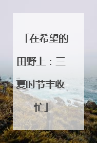 在希望的田野上：三夏时节丰收忙