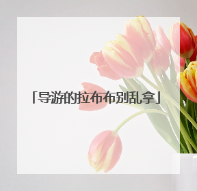 导游的拉布布别乱拿