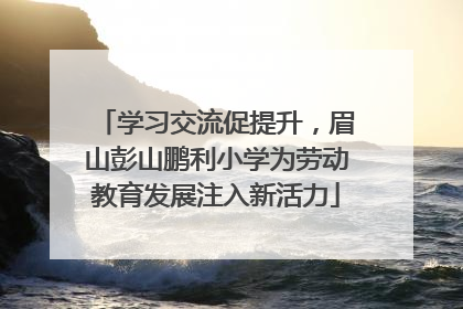 学习交流促提升，眉山彭山鹏利小学为劳动教育发展注入新活力