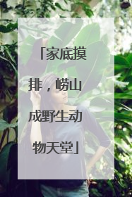 家底摸排，崂山成野生动物天堂
