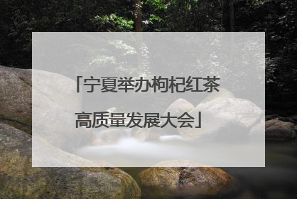 宁夏举办枸杞红茶高质量发展大会