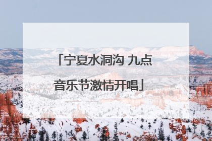 宁夏水洞沟 九点音乐节激情开唱