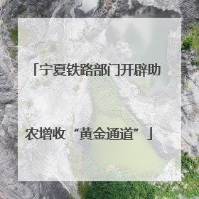 宁夏铁路部门开辟助农增收“黄金通道”
