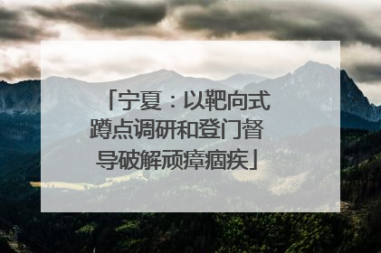 宁夏：以靶向式蹲点调研和登门督导破解顽瘴痼疾