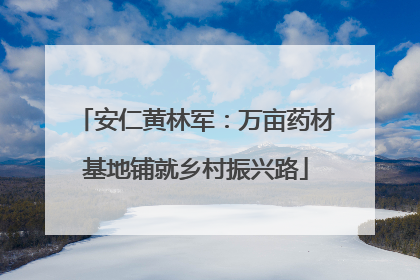 安仁黄林军：万亩药材基地铺就乡村振兴路