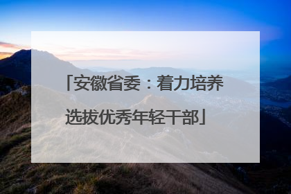 安徽省委：着力培养选拔优秀年轻干部
