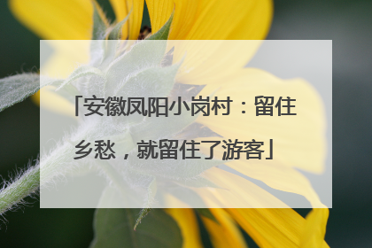安徽凤阳小岗村：留住乡愁，就留住了游客