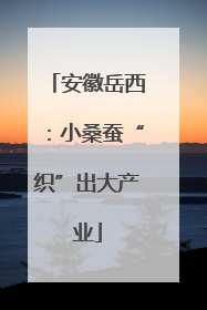 安徽岳西：小桑蚕“织”出大产业