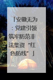 安徽无为：党建引领筑牢防范非法集资“红色防线”