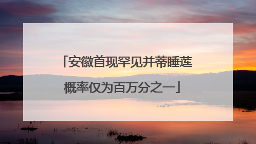 安徽首现罕见并蒂睡莲 概率仅为百万分之一