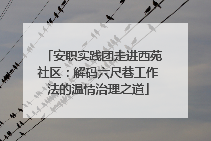 安职实践团走进西苑社区：解码六尺巷工作法的温情治理之道
