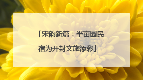 宋韵新篇：半亩园民宿为开封文旅添彩