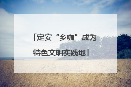 定安“乡咖”成为特色文明实践地