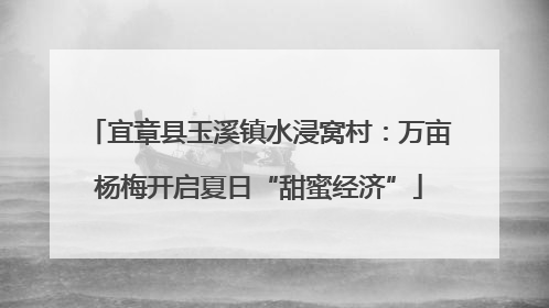 宜章县玉溪镇水浸窝村：万亩杨梅开启夏日“甜蜜经济”