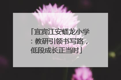 宜宾江安蟠龙小学：教研引领书写路，低段成长正当时
