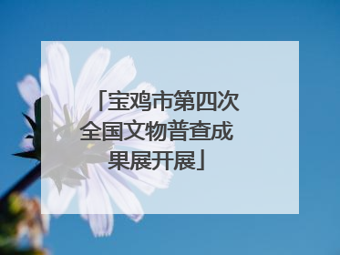宝鸡市第四次全国文物普查成果展开展
