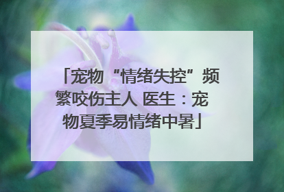 宠物“情绪失控”频繁咬伤主人 医生：宠物夏季易情绪中暑