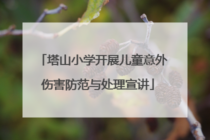 塔山小学开展儿童意外伤害防范与处理宣讲