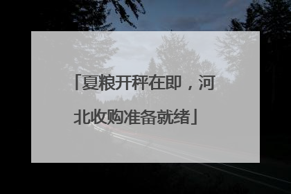 夏粮开秤在即，河北收购准备就绪
