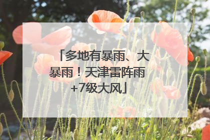 多地有暴雨、大暴雨！天津雷阵雨+7级大风