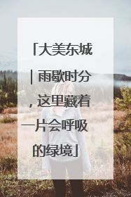 大美东城｜雨歇时分，这里藏着一片会呼吸的绿境