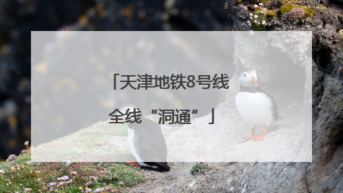 天津地铁8号线全线“洞通”