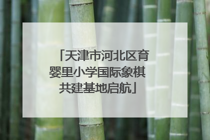 天津市河北区育婴里小学国际象棋共建基地启航