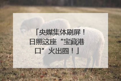 央媒集体刷屏！日照这座“宝藏港口”火出圈！