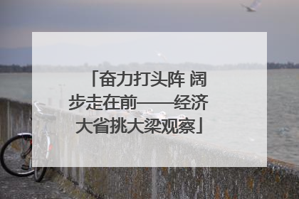 奋力打头阵 阔步走在前——经济大省挑大梁观察