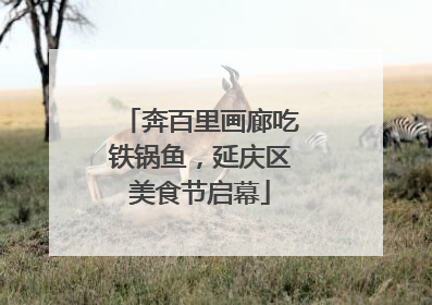 奔百里画廊吃铁锅鱼，延庆区美食节启幕