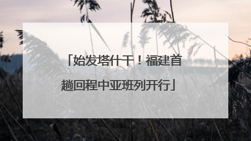 始发塔什干！福建首趟回程中亚班列开行