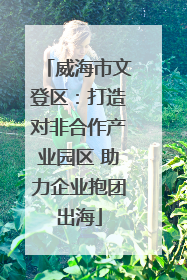 威海市文登区：打造对非合作产业园区 助力企业抱团出海