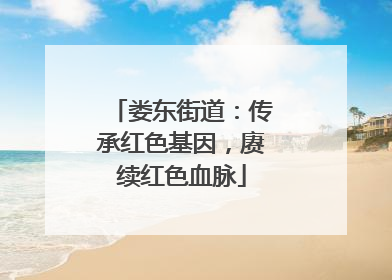 娄东街道：传承红色基因，赓续红色血脉