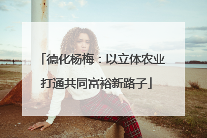 德化杨梅：以立体农业打通共同富裕新路子
