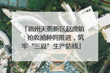 德州天衢新区赵虎镇：抢收抢种同推进，筑牢“三夏”生产防线