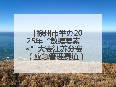徐州市举办2025年“数据要素×”大赛江苏分赛（应急管理赛道）发布会