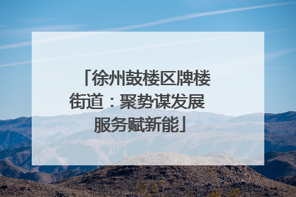徐州鼓楼区牌楼街道：聚势谋发展 服务赋新能